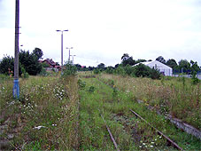 min 505 5.jpg min 505 5.jpg